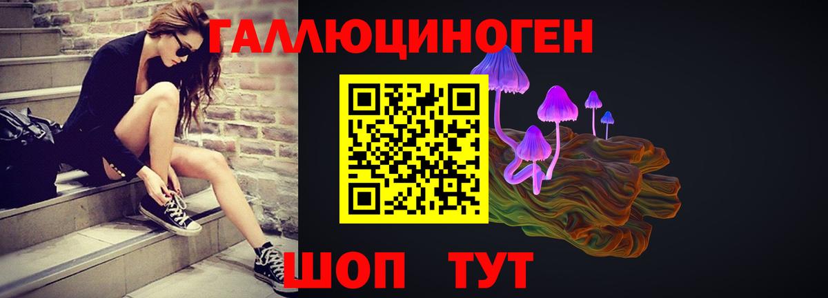 Галлюциногенные грибы мухоморы  Псилоцибиновые грибы Psilocybe  Вход с VPN  Кинешма 